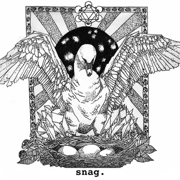 Snag