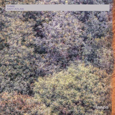 Anti Atlas by Thme - album cover