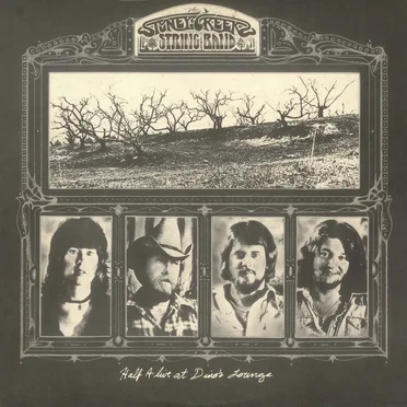 Half Alive at Dino's Lounge by The Stoney Creek String Band - album cover