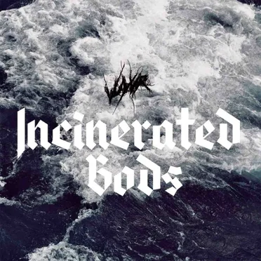 Incinerated Gods by Vuyvr - album cover