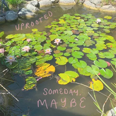 Uprooted by someday, maybe - album cover