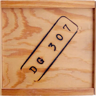 DG 307