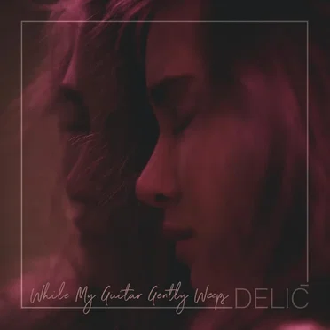 While My Guitar Gently Weeps by Delić - album cover