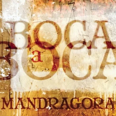 Boca a boca