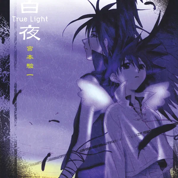 白夜 ～True Light～