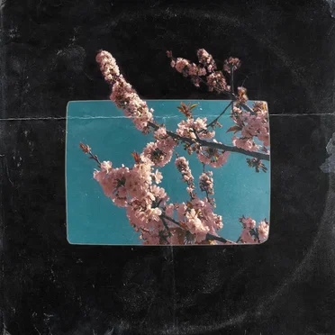 BLOSSOM