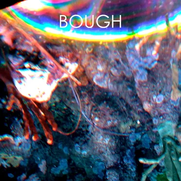 Night's Electric Dog by Bough - album cover
