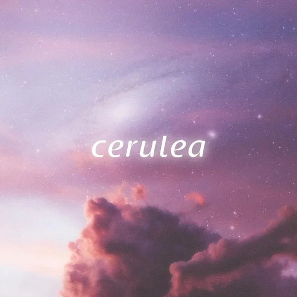 Galaxies