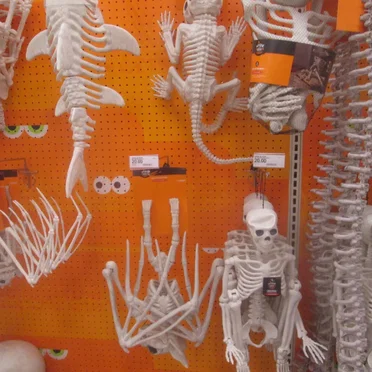 Target During Halloween Season