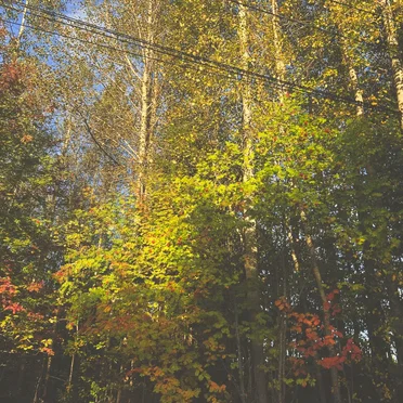 autumn’s sleeping days