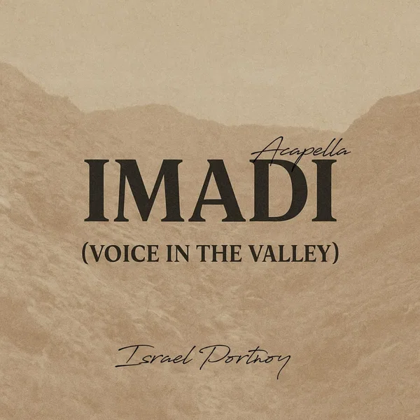 IMADI - Voice in the Valley