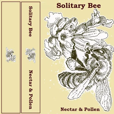 Nectar & Pollen by Solitary Bee - album cover
