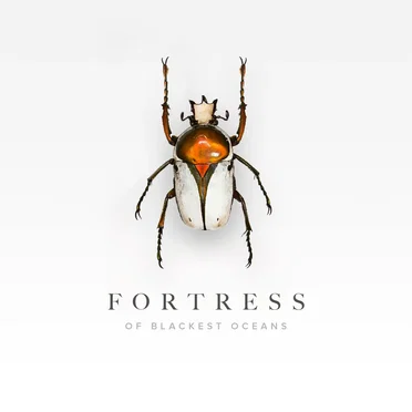 Fortress by Of Blackest Oceans - album cover