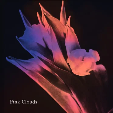 pink clouds