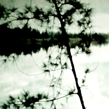 os sonhos se dissiparam, eu entendo.