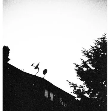 Swallowing Bile / The Bringer Of Everything