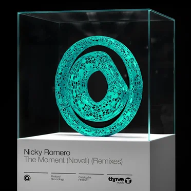 The Moment (Novell) (remixes)