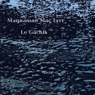 Le Gâchis by Mannaman Mac Lyrr - album cover