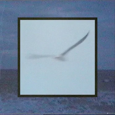 Albatross by Aaberg - album cover