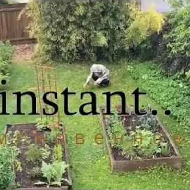 instant..