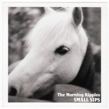 The Morning Ripples by Small Sips - album cover