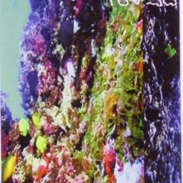 Pearl Divers by Dreamers Cloth - album cover