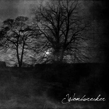 Wombwrecker by Wombwrecker - album cover