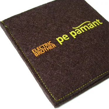 Pe Pamant by Electric Brother - album cover