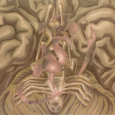 Ohrenschrauben / Ohrensausen by Various Artists - album cover