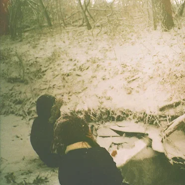 I Dreamed by My Shirley Remains - album cover
