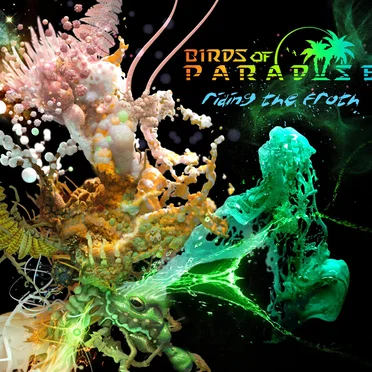 Riding the Froth by Birds of Paradise - album cover