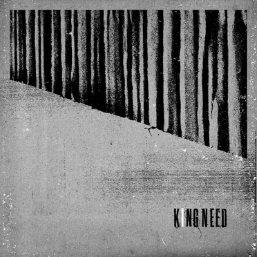 Dust by King Need - album cover