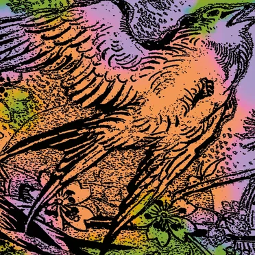 One Swallow Doesn't Make A Summer Part 4 by Various Artists - album cover