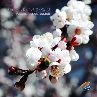 The Song of Sakura by Various Artists - album cover