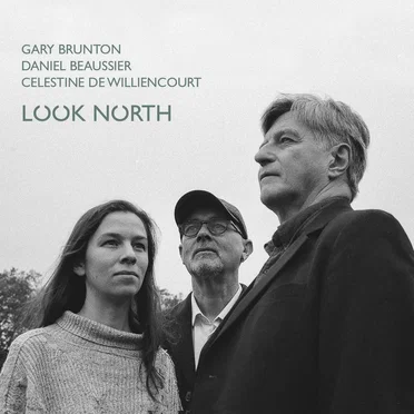 Look North by Gary Brunton - album cover