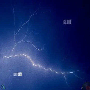 Flashback (Through the Storm) by c.j.mind - album cover