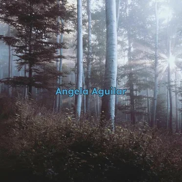 Aku Berteriak by Angela Aguilar - album cover