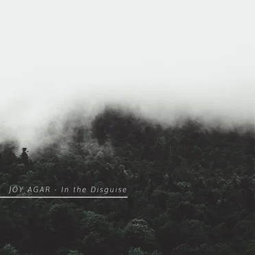 In the disguise