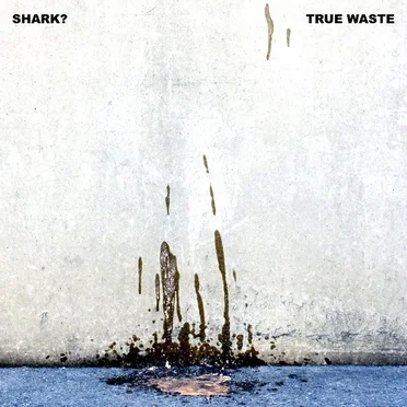 True Waste by Shark? - album cover