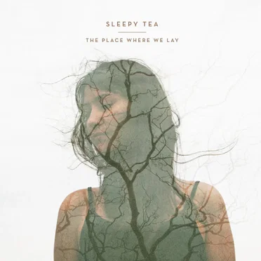 The Place Where We Lay by Sleepy Tea - album cover