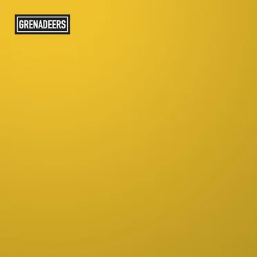 Chasing the Stereotype by Grenadeers - album cover