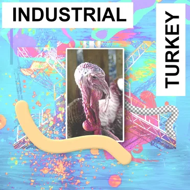 Industrial Turkey by Various Artists - album cover
