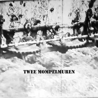 TWEE MOMPELMUREN