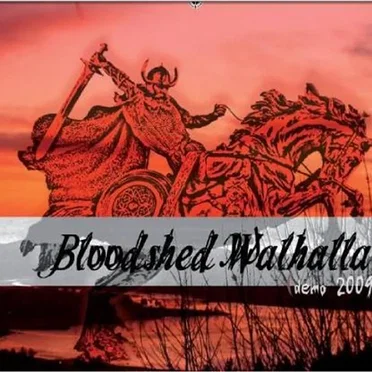 Demo 2009 by Bloodshed Walhalla - album cover
