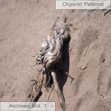 Archives Vol. 1 by Organic Patterns - album cover