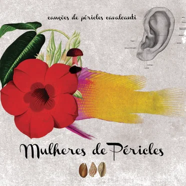 Mulheres de Péricles by Péricles Cavalcanti - album cover