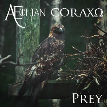 Prey