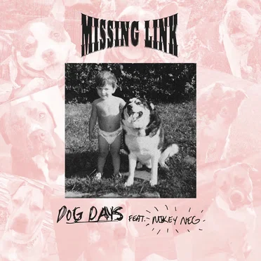 Dog Days by Missing Link - album cover