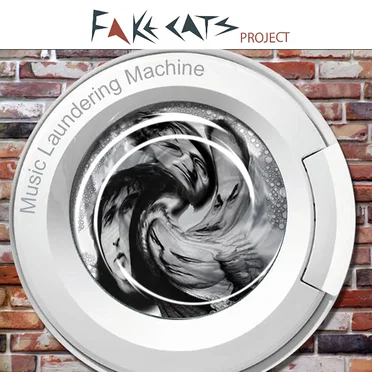 Music Laundering Machine by Fake Cats Project - album cover