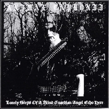 Lonely Steps of a Blind Guardian Angel Echo Here